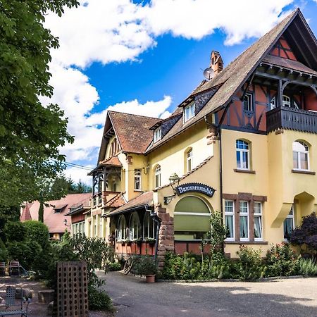 Hotel Dammenmuehle Lahr  Buitenkant foto