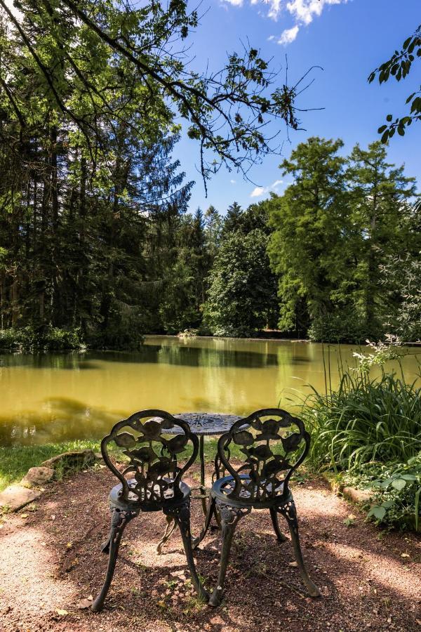 Hotel Dammenmuehle Lahr  Buitenkant foto