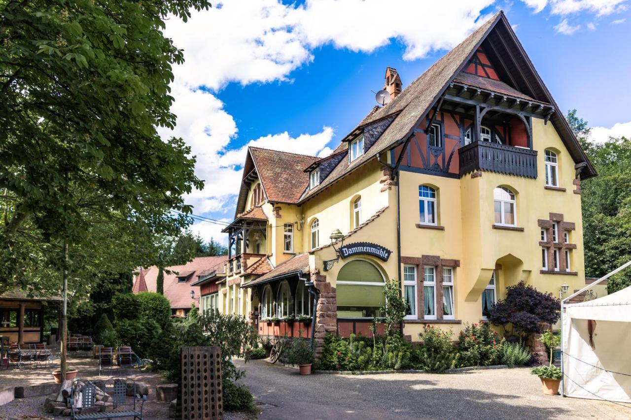 Hotel Dammenmuehle Lahr  Buitenkant foto